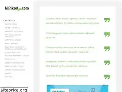 Sites similar to bipiksel.com