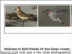 Sites similar to bird-friends.com