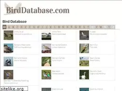 Sites similar to birddatabase.com