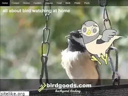 Sites similar to birdgoods.com