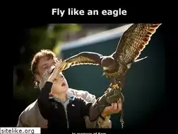 Sites similar to birdlive.nl