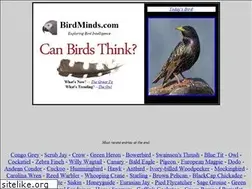 Sites similar to birdminds.com
