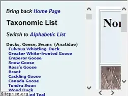 Sites similar to birdphotography.com