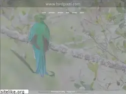Sites similar to birdpixel.com