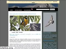 Sites similar to birdpoints.com