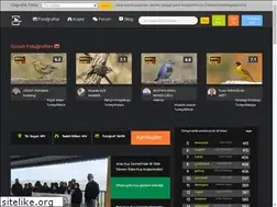 Sites similar to birdpx.com