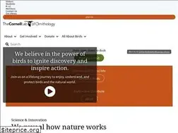 Sites similar to birds.cornell.edu