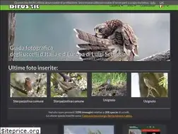 Sites similar to birds.it
