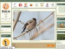 Sites similar to birds.watch