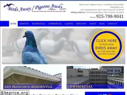 Sites similar to birdsaway.com