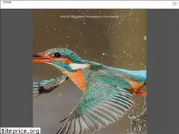 Sites similar to birdsinflight.be