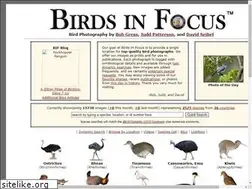 Sites similar to birdsinfocus.com