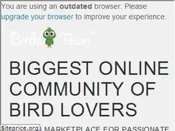 Sites similar to birdstown.com