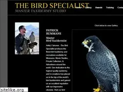 Sites similar to birdtaxidermy.com
