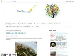 Sites similar to birdunyafikir.blogspot.com.tr