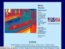 Sites similar to birelymarinesurveying.com