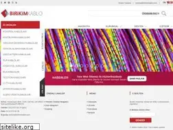 Sites similar to birikimkablo.com