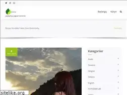 Sites similar to birikimler.com