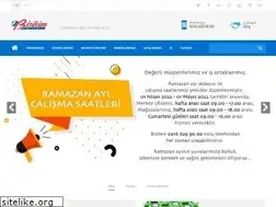 Sites similar to birikimpilleri.com