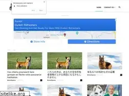 Sites similar to birincioyuncu.com