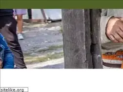 Sites similar to birkavikingastaden.se