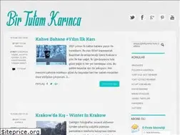 Sites similar to birtutamkarinca.com
