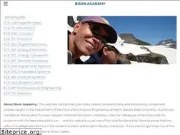 Sites similar to bisonacademy.com