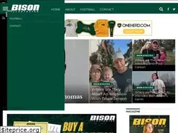 Sites similar to bisonillustrated.com