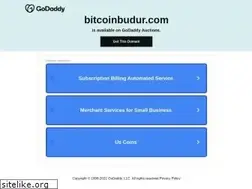 Sites similar to bitcoinbudur.com