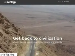 Sites similar to bitfliptech.com