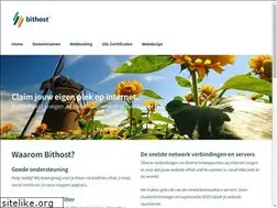 Sites similar to bithost.nl