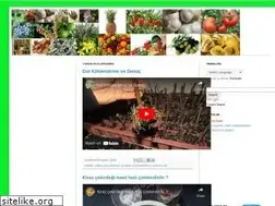 Sites similar to bitkitohum.blogspot.com