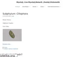 Sites similar to biyolojik.org