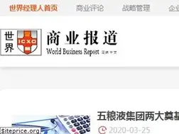 Sites similar to biz.icxo.com