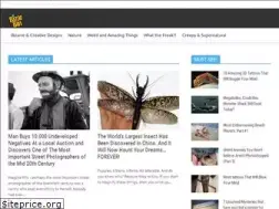 Sites similar to bizarbin.com