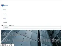 Sites similar to bizcubetech.com