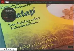 Sites similar to bizdanismanlik.net