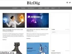 Sites similar to bizdig.co