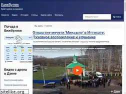 Sites similar to bizhbulyak.ru