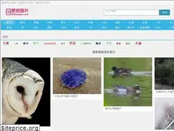 Sites similar to bizhitupian.com