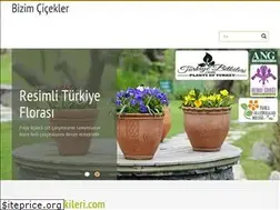 Sites similar to bizimcicekler.org.tr