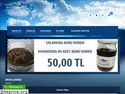 Sites similar to bizimyemci.com