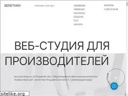 Sites similar to biznetman.ru