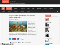 Sites similar to bizsiziz.com