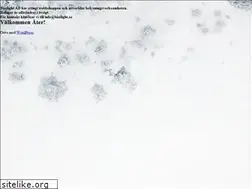 Sites similar to bizzlight.se