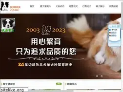 Sites similar to bjdoghome.com