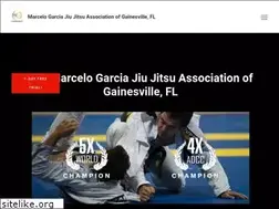 Sites similar to bjjgainesville.com