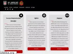 Sites similar to bjkkabatasvakfi.org