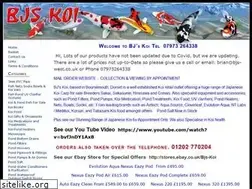 Sites similar to bjskoi.co.uk