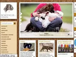 Sites similar to bk-muenchen.de